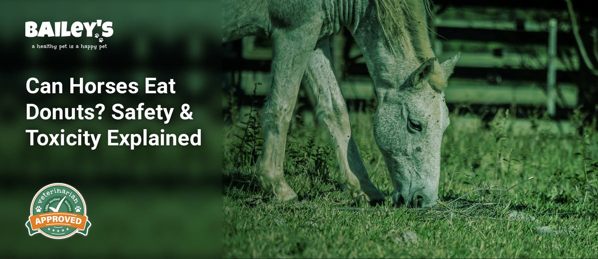 Can Horses Eat Donuts? Safety & Toxicity Explained - grey horse grazing on grass in a sunlit field - Bailey's CBD featured banner