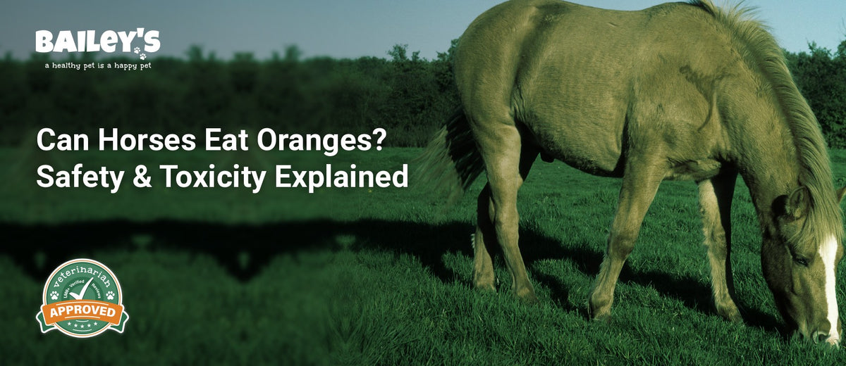 Can Horses Eat Oranges? Safety & Toxicity Explained - a chestnut colored horse grazing in a grassy field - Bailey's CBD featured banner