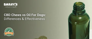CBD Chews vs Oil For Dogs: Differences & Effectiveness - a pair of dog bone shaped treats a dropper bottle of CBD - Bailey's CBD featured banner