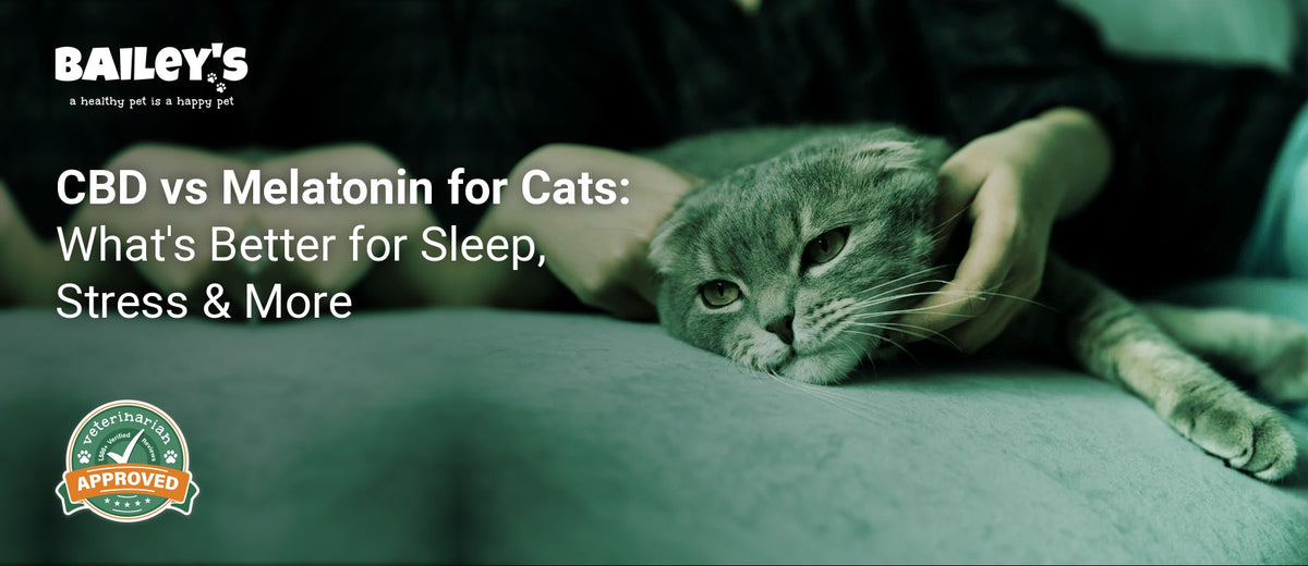 CBD vs Melatonin for Cats: What's Better for Sleep, Stress & More - Bailey's CBD featured banner