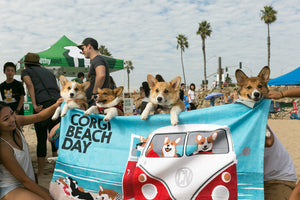 Fall Corgi Beach Day Huntington Beach. Bailey's CBD. Hemp Oil For Pets. CBD Dog Treats. CBD Benefits. So Cal Corgi Nation. 