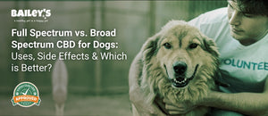 Full Spectrum vs. Broad Spectrum CBD for Dogs: Uses, Side Effects & Which is Better? - Bailey's CBD featured banner