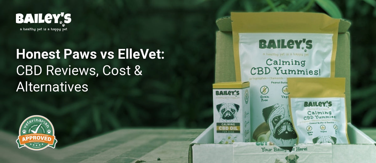 Honest Paws vs ElleVet: CBD Reviews, Cost & Alternatives - box of Bailey s pet products displayed on an outdoor table - Bailey's CBD featured banner