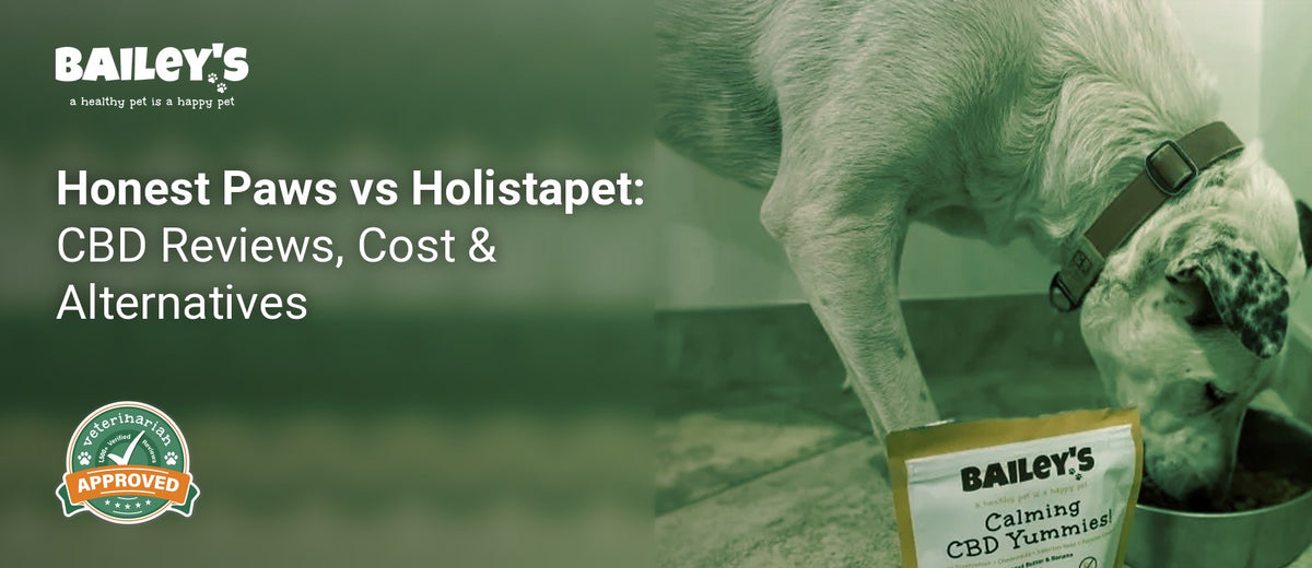 Honest Paws vs Holistapet: CBD Reviews, Cost & Alternatives - Bailey's CBD featured banner