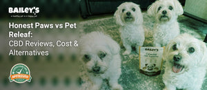 Honest Paws vs Pet Releaf: CBD Reviews, Cost & Alternatives - Bailey's CBD featured banner