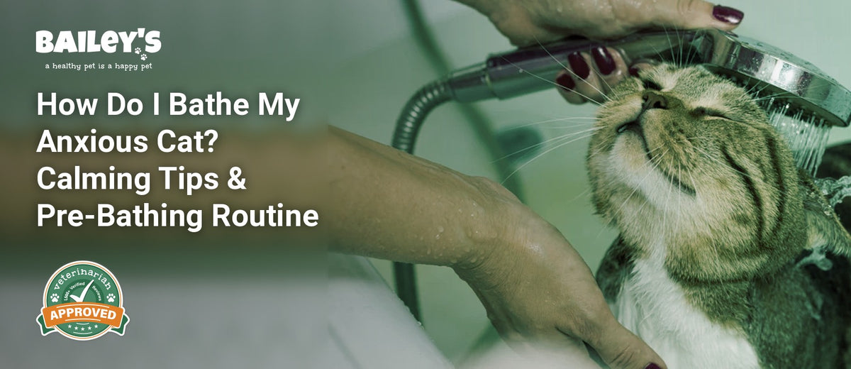 How Do I Bathe My Anxious Cat? Calming Tips & Pre-Bathing Routine - a tabby cat enjoys a gentle head rinse in a bathtub - Bailey's CBD featured banner