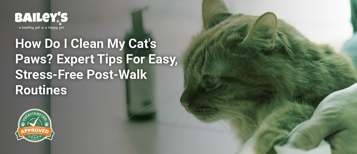 How Do I Clean My Cat's Paws? Expert Tips For Easy, Stress-Free Post-Walk Routines - Bailey's CBD featured banner