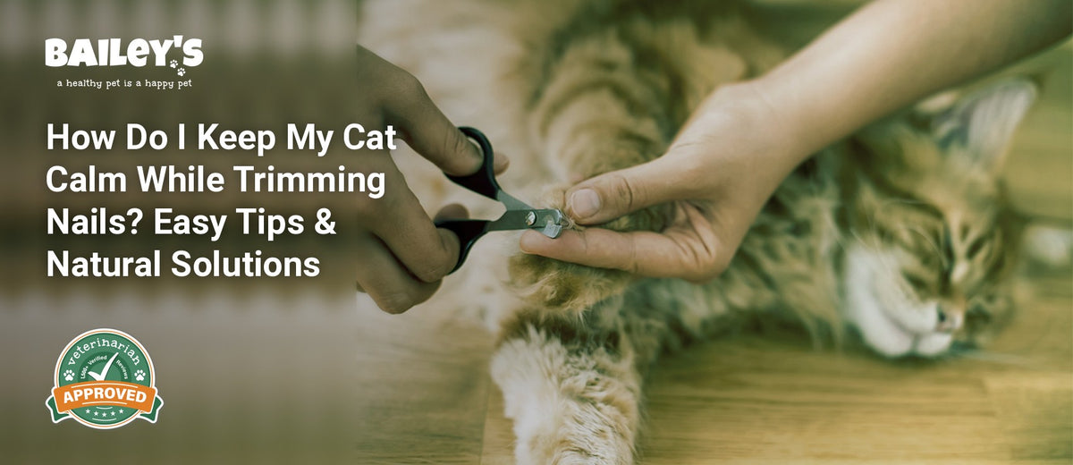 How Do I Keep My Cat Calm While Trimming Nails? Easy Tips & Natural Solutions - Bailey's CBD featured banner