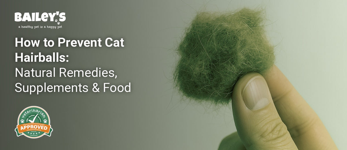 How to Prevent Cat Hairballs: Natural Remedies, Supplements & Food - Bailey's CBD featured banner
