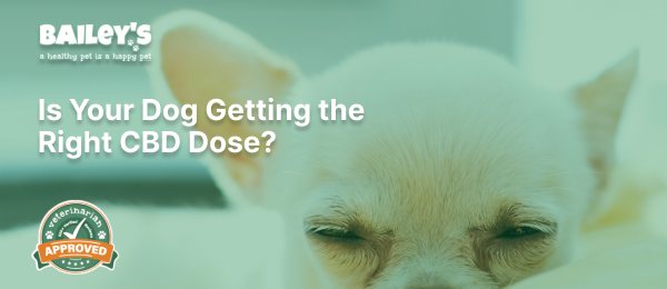 Is Your Dog Getting the Right CBD Dose?