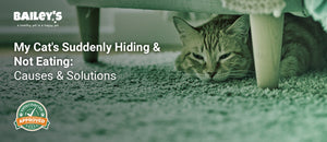My Cat's Suddenly Hiding & Not Eating: Causes & Solutions - orange tabby cat lying low and partially hidden under a - Bailey's CBD featured banner