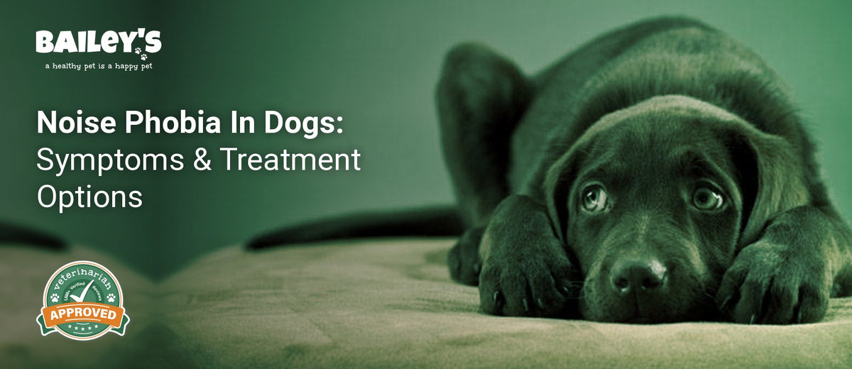 Noise Phobia In Dogs: Symptoms & Treatment Options - a dog hiding with worried eyes visible illustrating typical - Bailey's CBD featured banner