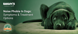 Noise Phobia In Dogs: Symptoms & Treatment Options - a dog hiding with worried eyes visible illustrating typical - Bailey's CBD featured banner