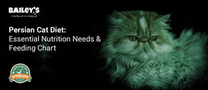 Persian Cat Diet: Essential Nutrition Needs & Feeding Chart - Bailey's CBD featured banner