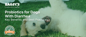 Probiotics for Dogs With Diarrhea: Key Benefits and Best Practices - Dog Food With Probiotics For Sensitive Breeds With Diarrhea