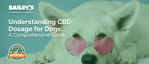 Understanding CBD Dosage for Dogs: A Comprehensive Guide