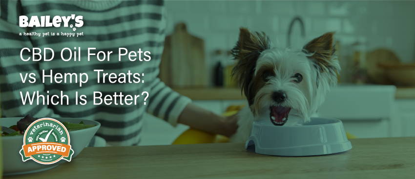 CBD Oil For Pets vs Hemp Treats: Which Is Better?