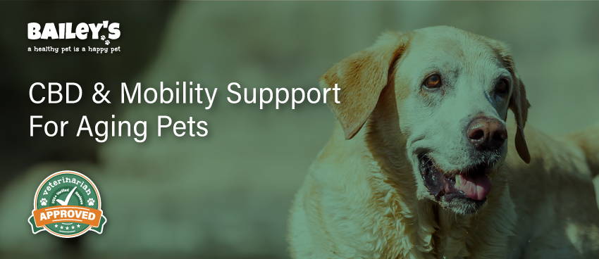 CBD & Mobility Support for Aging Pets: Enhance Comfort & Movement