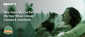 Why Does My Cat Eat My Hair When I Sleep? Causes & Solutions - Bailey's CBD featured banner