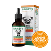Bailey's 900mg Extra Strength 2:1 CBD & CBG Oil For Dogs Product Image