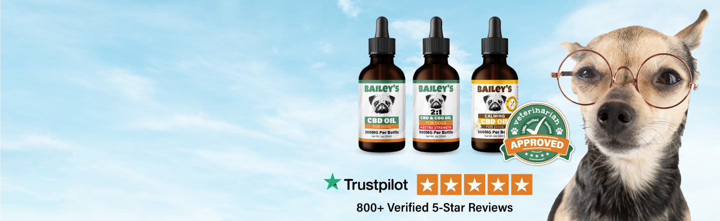 Baileys CBD for Dogs Special Sale For Dogs With Glaucoma - Desktop Banner