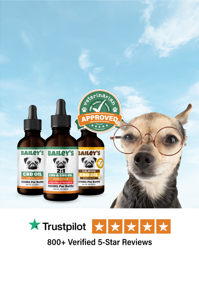 Baileys CBD for Dogs Special Sale For Dogs With Glaucoma - Mobile Banner