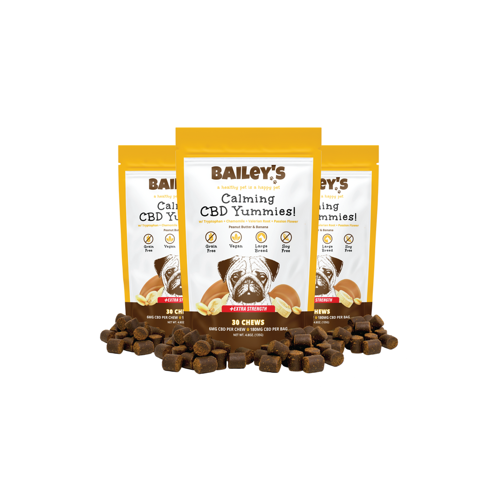 Cbd chews for dogs anxiety hot sale