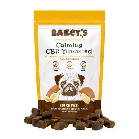 Calming CBD Yummies Best Chewy CBD Dog Treats 2024