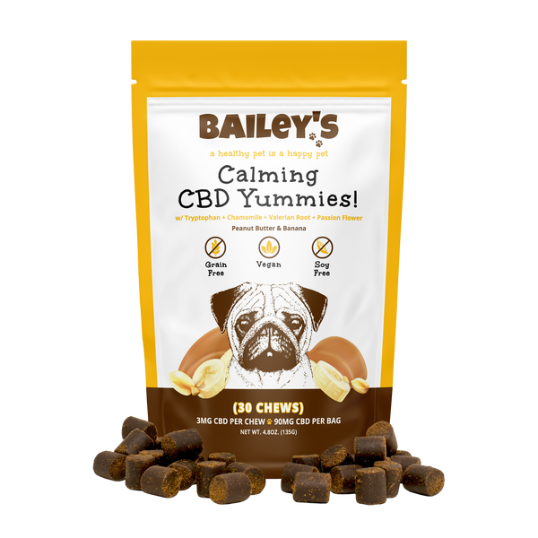 Best CBD Dog Treats 2024 Calming Mobility Graceful Aging