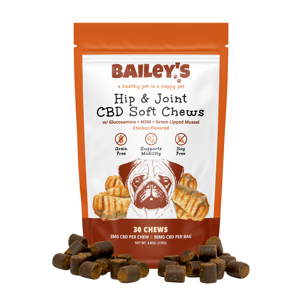 Best cbd shop chews for dogs