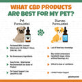Pet CBD vs. Human CBD infographic