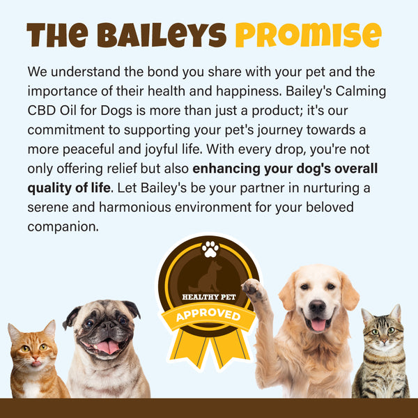 Bailey's Promise - Calming CBD Oil For Dogs