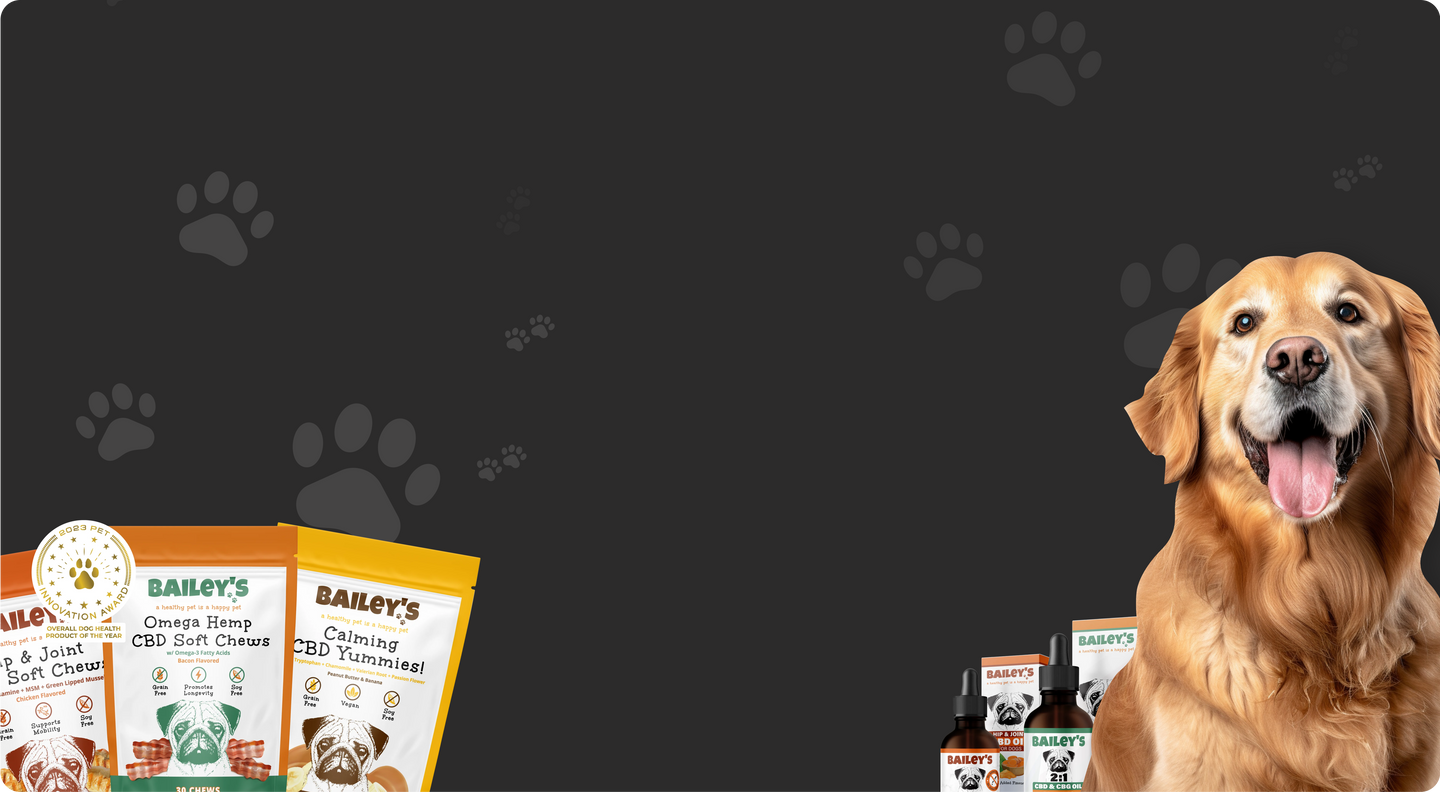 Black Friday Early Access