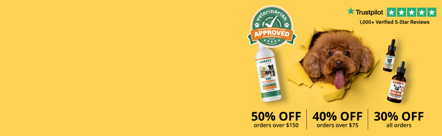 Baileys Black Friday Sale Starts Now - Desktop Banner