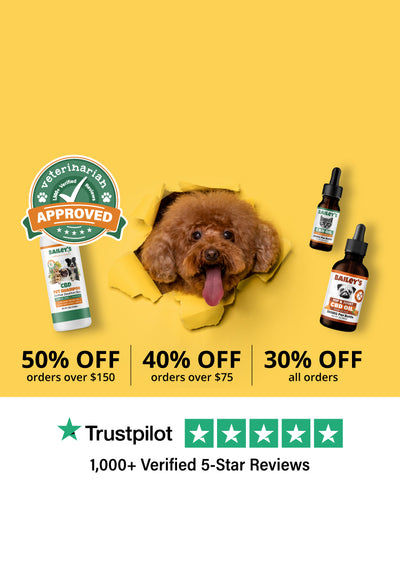Bailey's CBD Hero Banner - View Page For Details