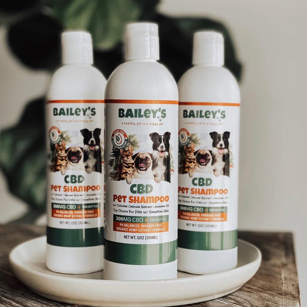 CBD Pet Shampoo