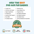 CBD Pet Shampoo