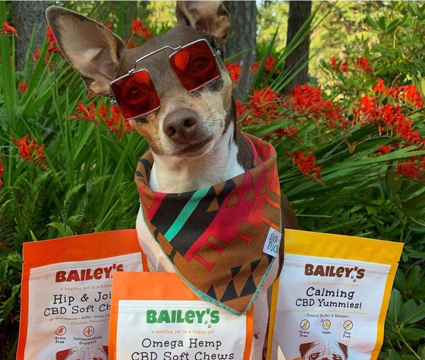 Shop All Bailey's CBD Pet Products