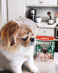 Cute Maltese dog @pekeaboolu posed in the kitchen next to Bailey’s Bacon Flavored Immunity Dog Chews bag. 