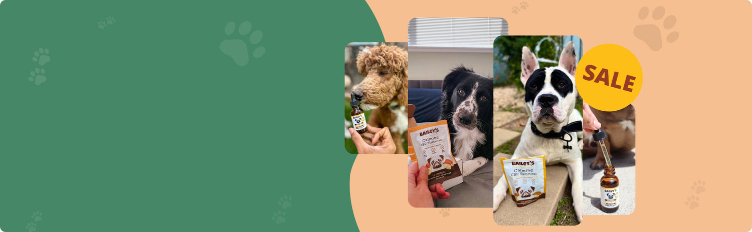 Bailey's CBD Hero Banner - View Page For Details