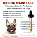 Dosing Guide For Hip Joint CBD Oil For Dogs