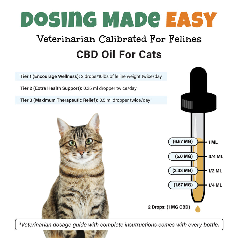 Bailey’s CBD oil for cats dosage guide chart infographic