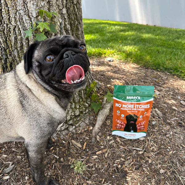 No More Itchies Probiotic Dog Chews