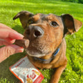 Hip & Joint CBD Soft Chews