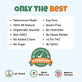 The Original CBD Oil For Dogs