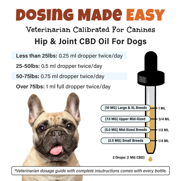 Hip & Joint CBD Oil For Dogs