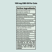 CBD Oil For Cats