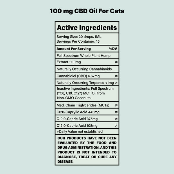 CBD Oil For Cats