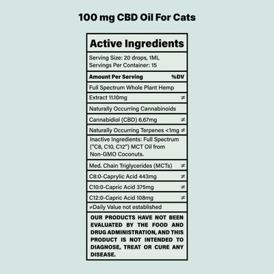 CBD Oil For Cats