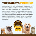 Calming CBD Oil For Dogs